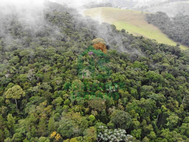 #108 - Fazenda para Venda em Teresópolis - RJ