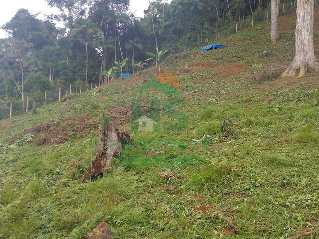 Área para Venda em Teresópolis - 4