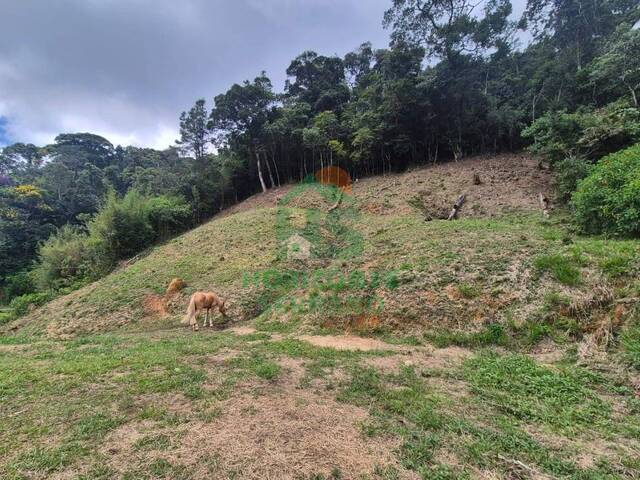 Terreno para Venda em Teresópolis - 4
