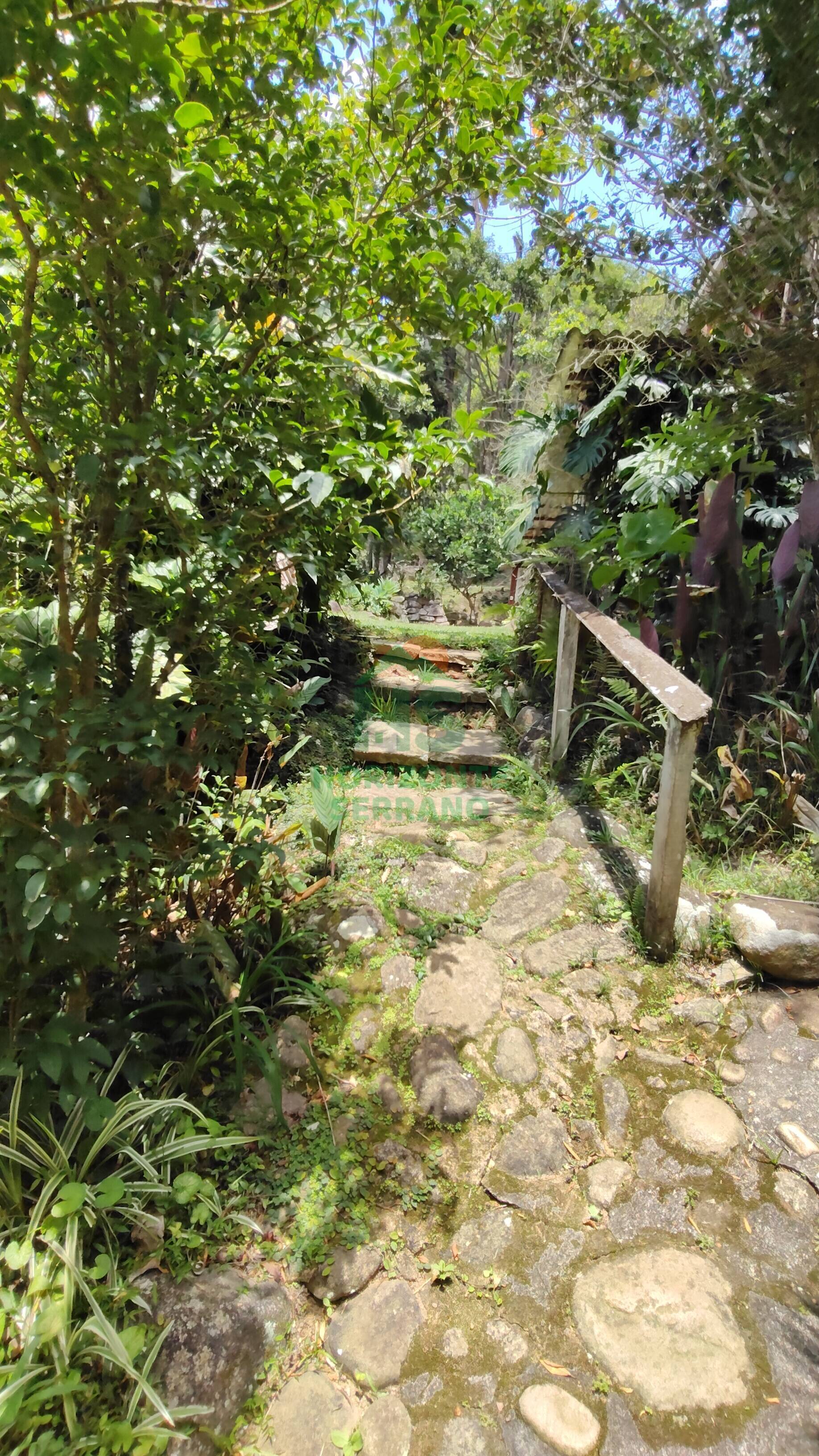 Casa, 4 quartos, 328 m² - Foto 16
