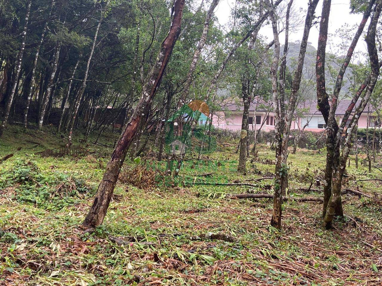 Terreno, 4430 m² - Foto 1
