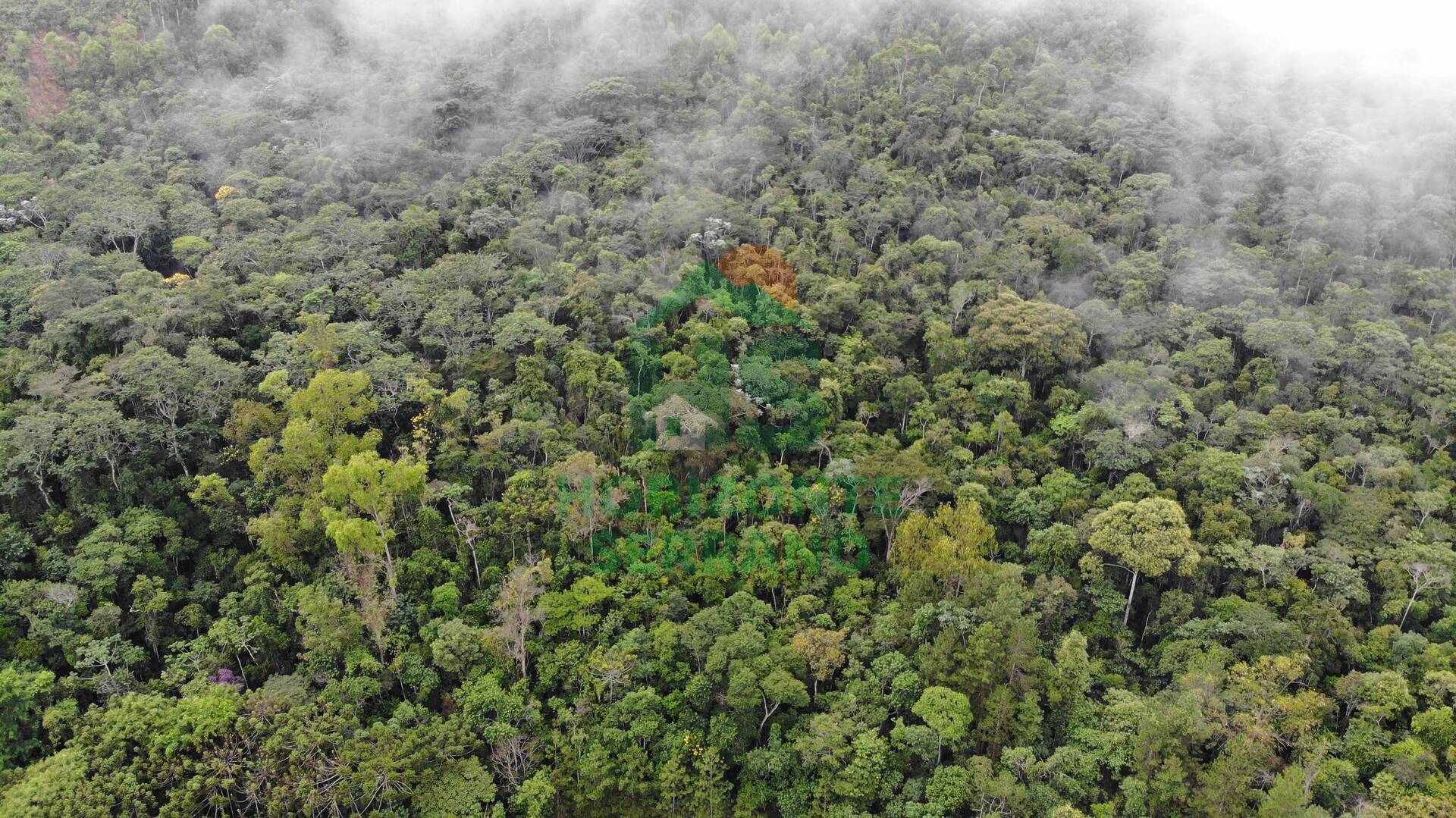 Fazenda, 87 hectares - Foto 2
