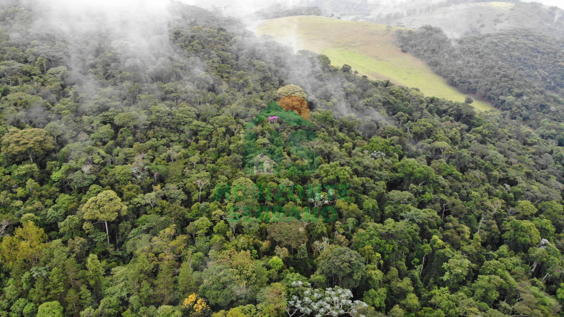 Fazenda, 87 hectares - Foto 3