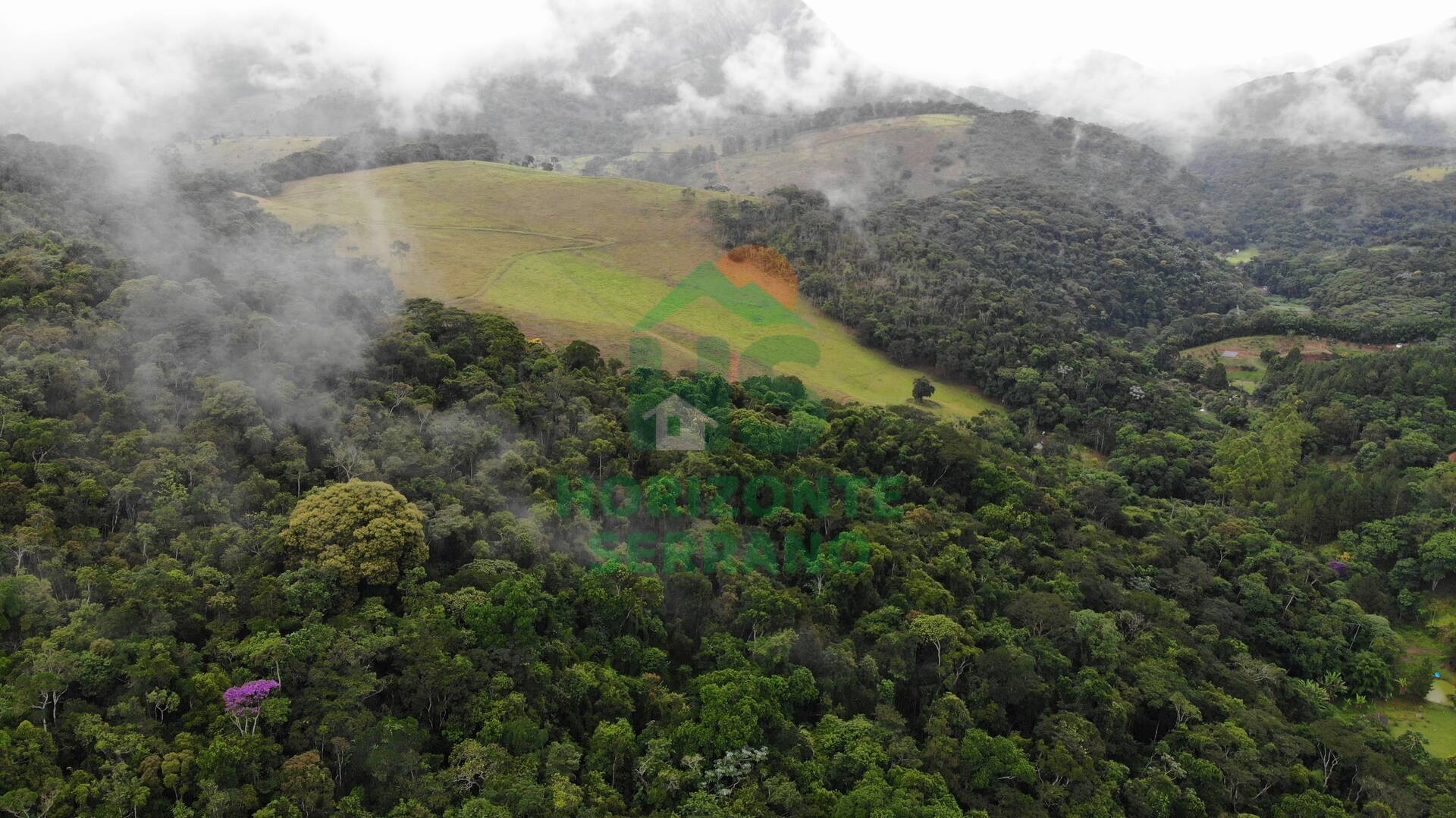 Fazenda, 87 hectares - Foto 4