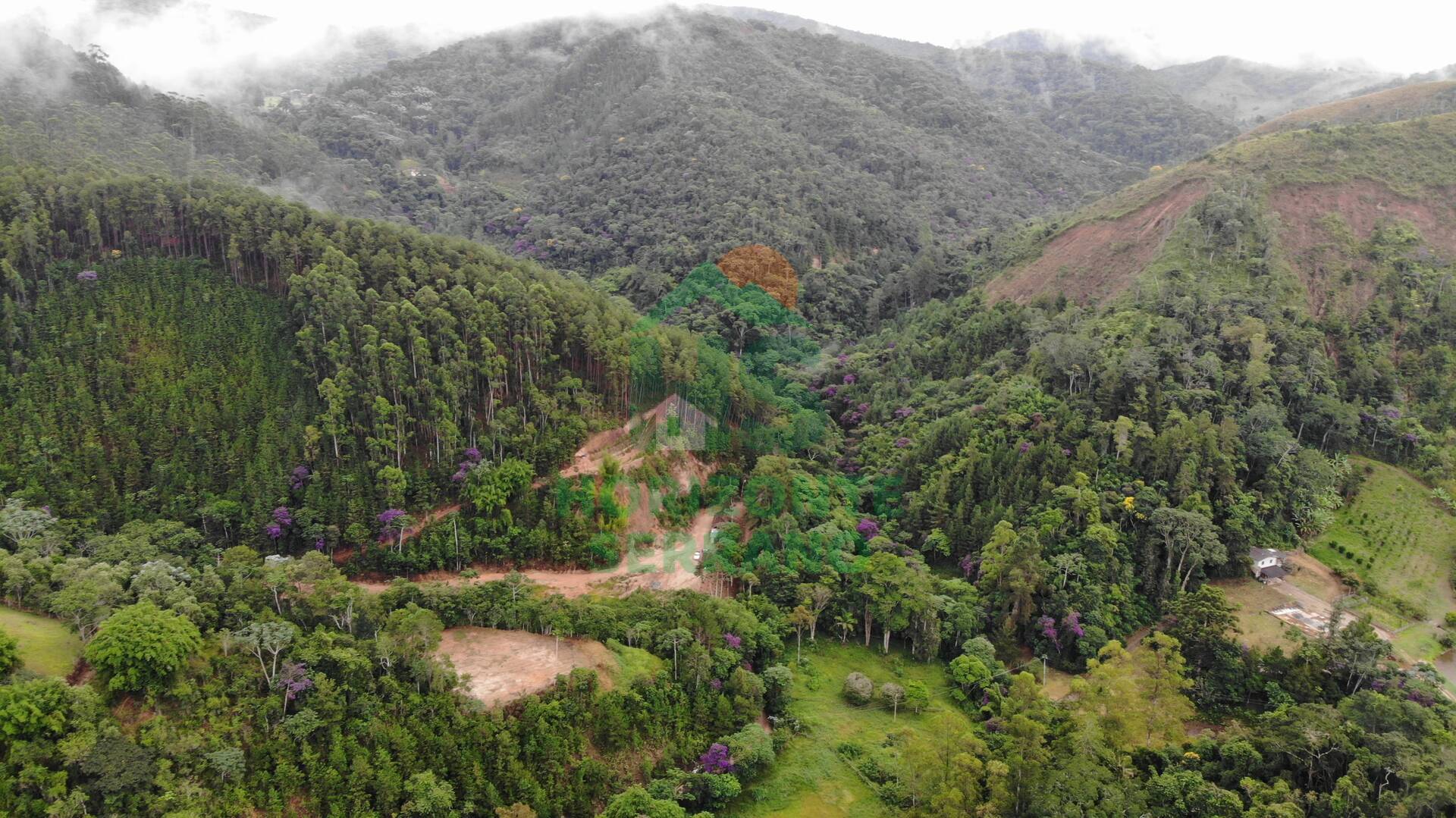 Fazenda, 87 hectares - Foto 7