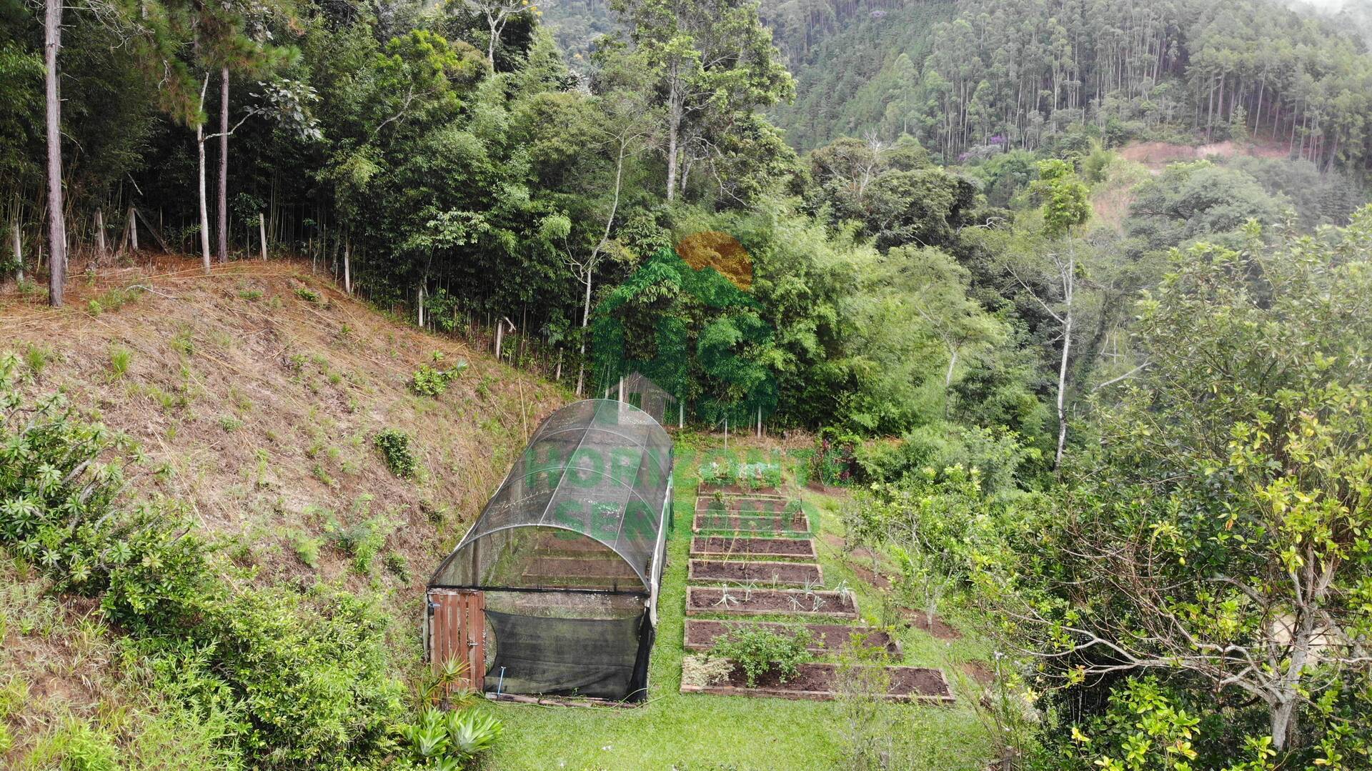 Fazenda, 87 hectares - Foto 11