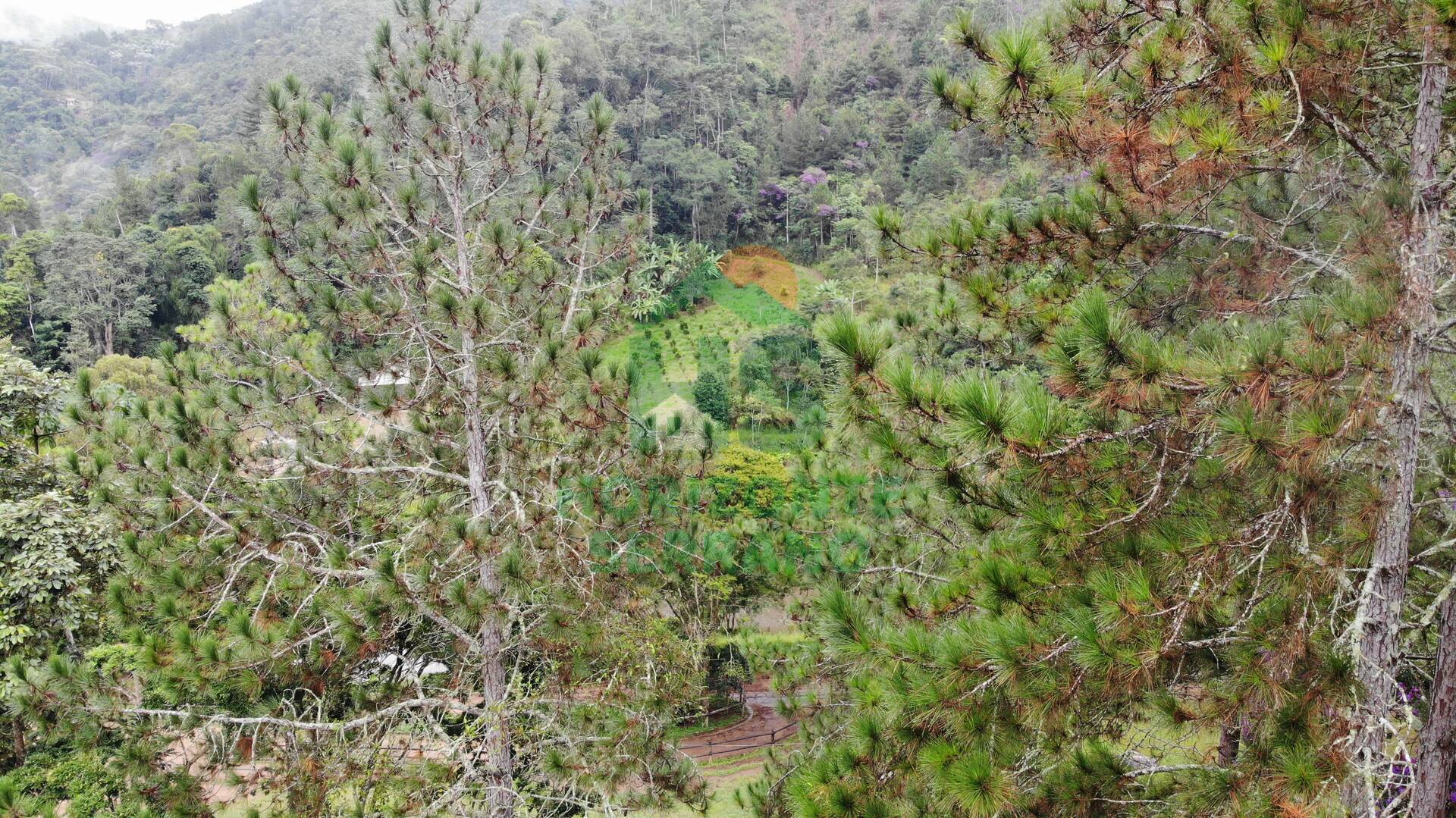 Fazenda, 87 hectares - Foto 16