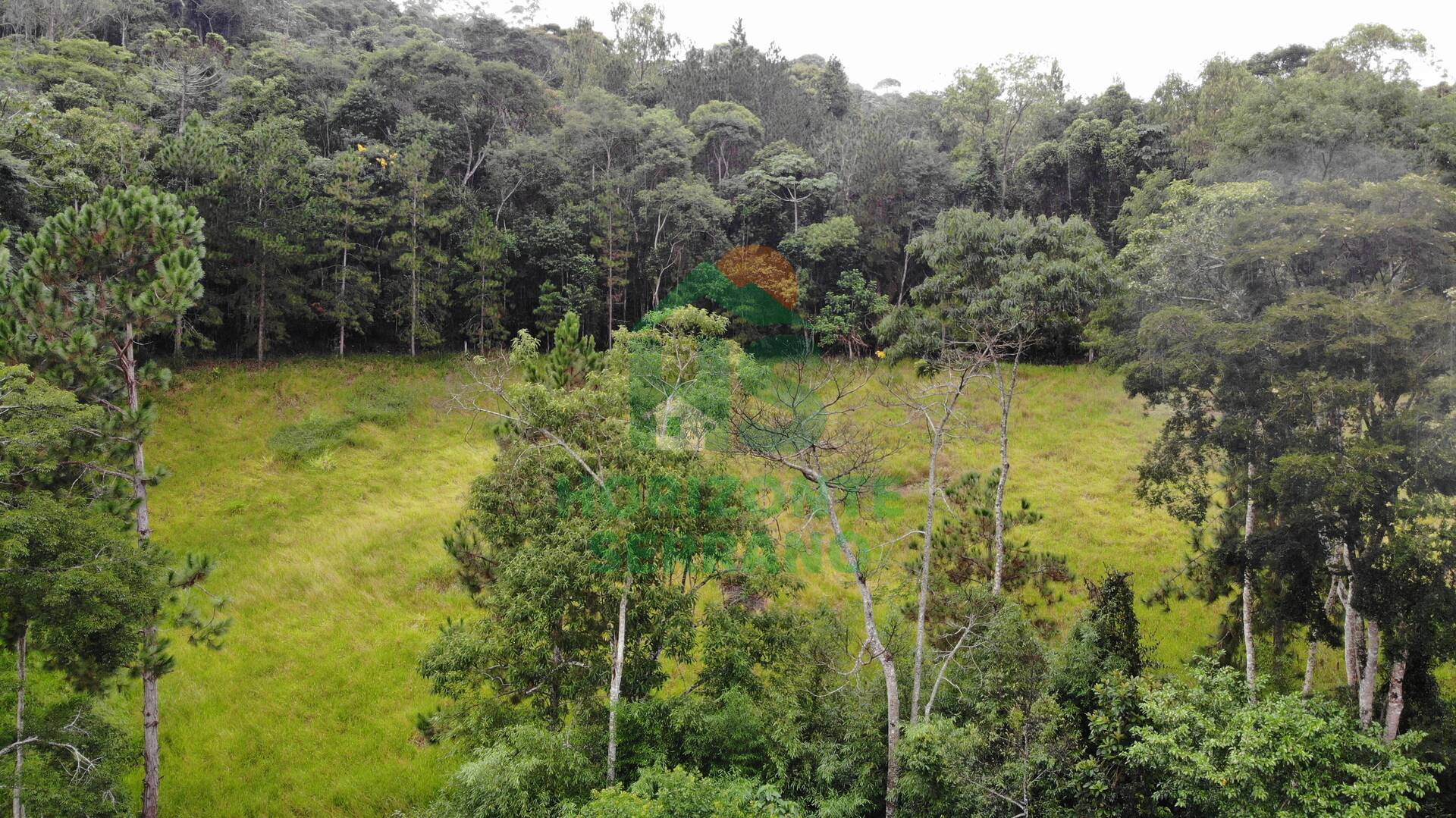 Fazenda, 87 hectares - Foto 20