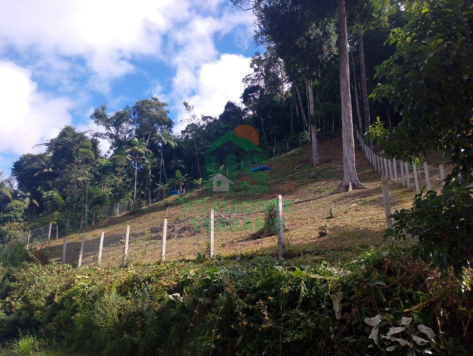 Terreno, 1650 m² - Foto 3
