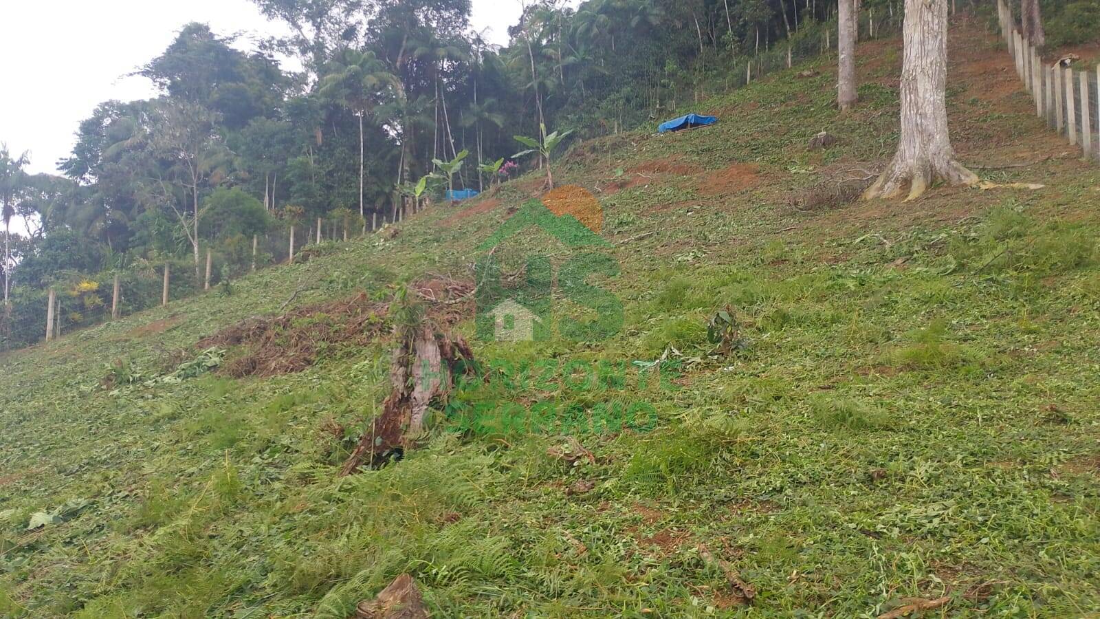 Terreno, 1650 m² - Foto 4